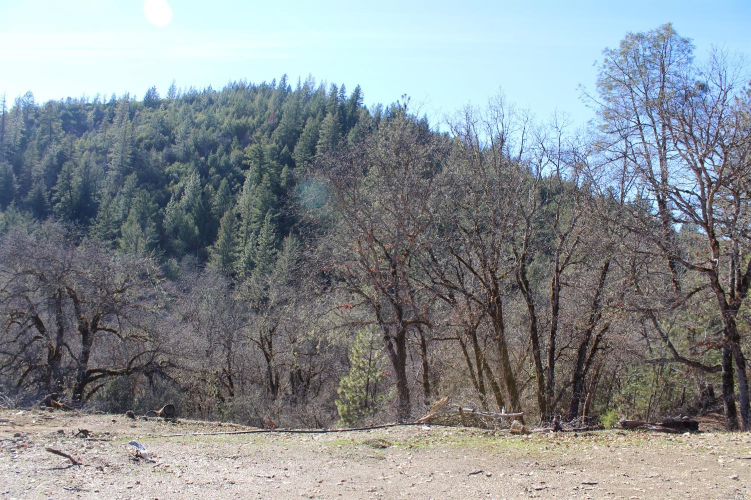 29700 Mendocino Pass Road Covelo, CA 95428 - Photo 10 of 27 a view of a backyard of the house