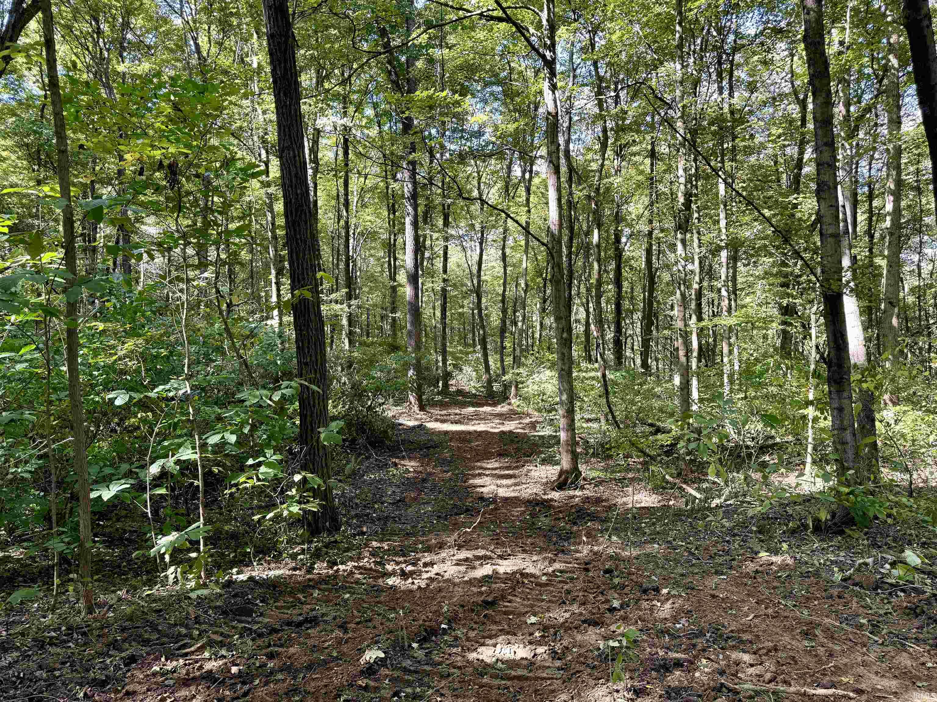 Off West Walnut Ridge Road Salem, IN 47167 - Photo 11 of 31 Gallery Image 11