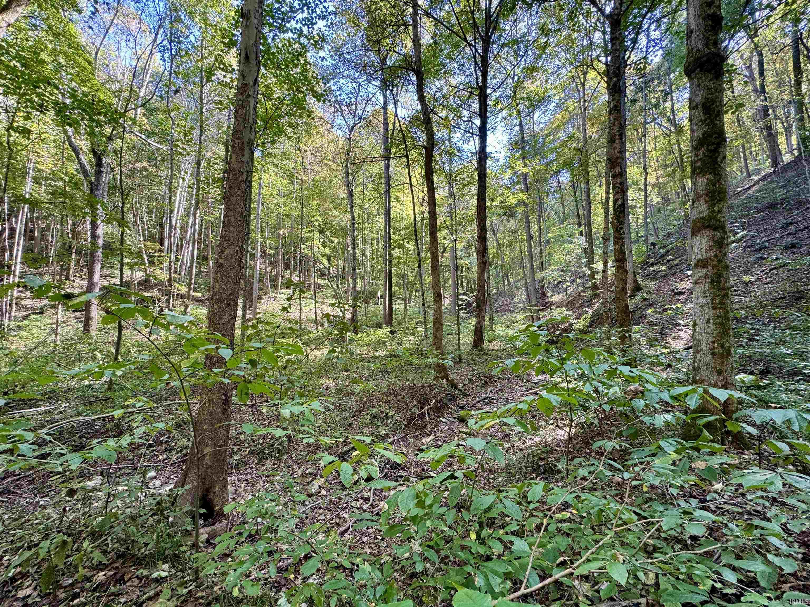 Off West Walnut Ridge Road Salem, IN 47167 - Photo 29 of 31 Gallery Image 29