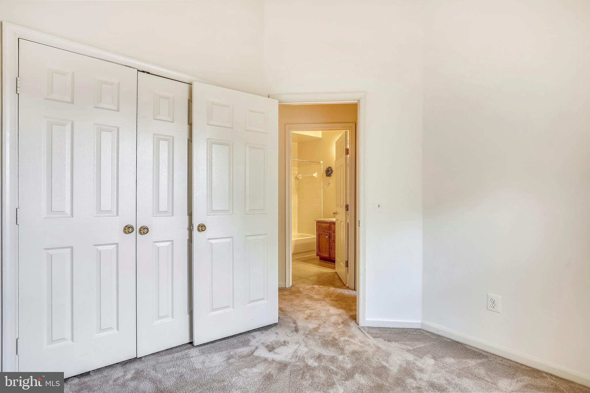 6503 Castine Lane Springfield, VA 22150 - Photo 38 of 54 Neutral plush carpet
