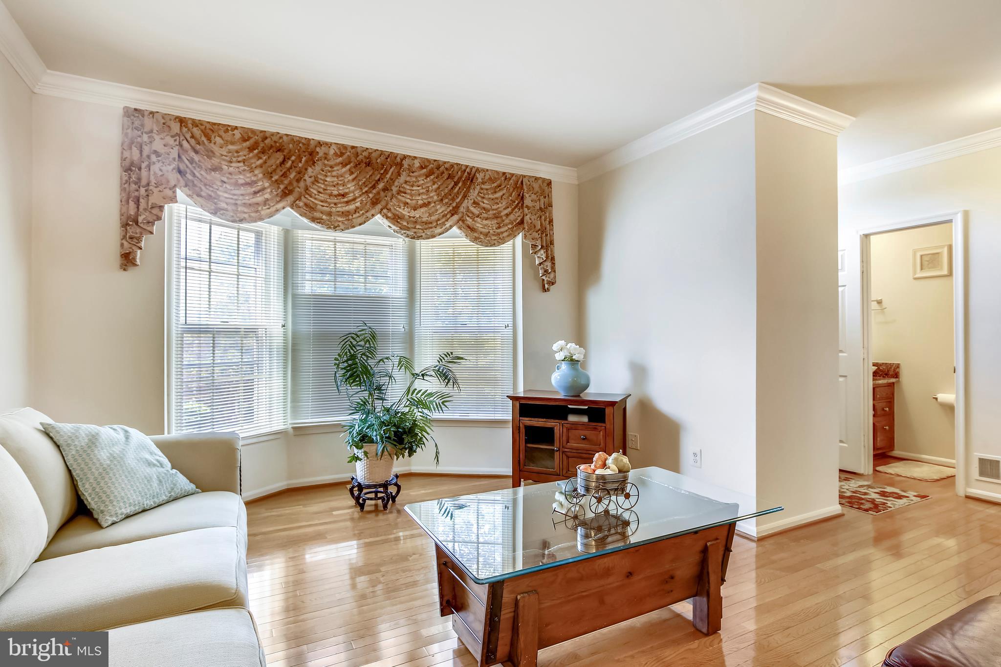 6503 Castine Lane Springfield, VA 22150 - Photo 6 of 54 Living room with bay window
