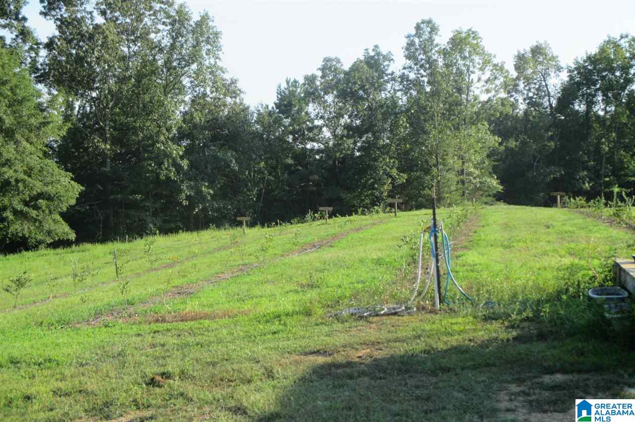 36757 Highway 75 Oneonta, AL 35121 - Photo 38 of 48 Gallery Image 38