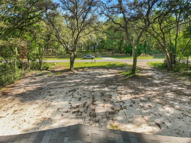 a view of a yard with a tree