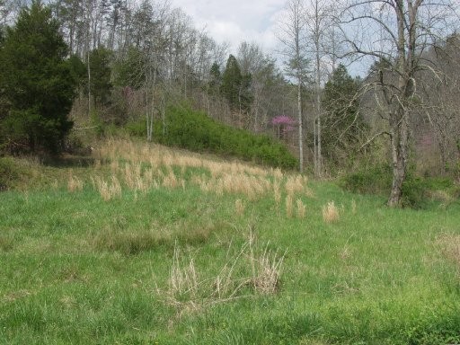 0 Black Fox Road Washburn, TN 37888 - Photo 17 of 25 Gallery Image 17