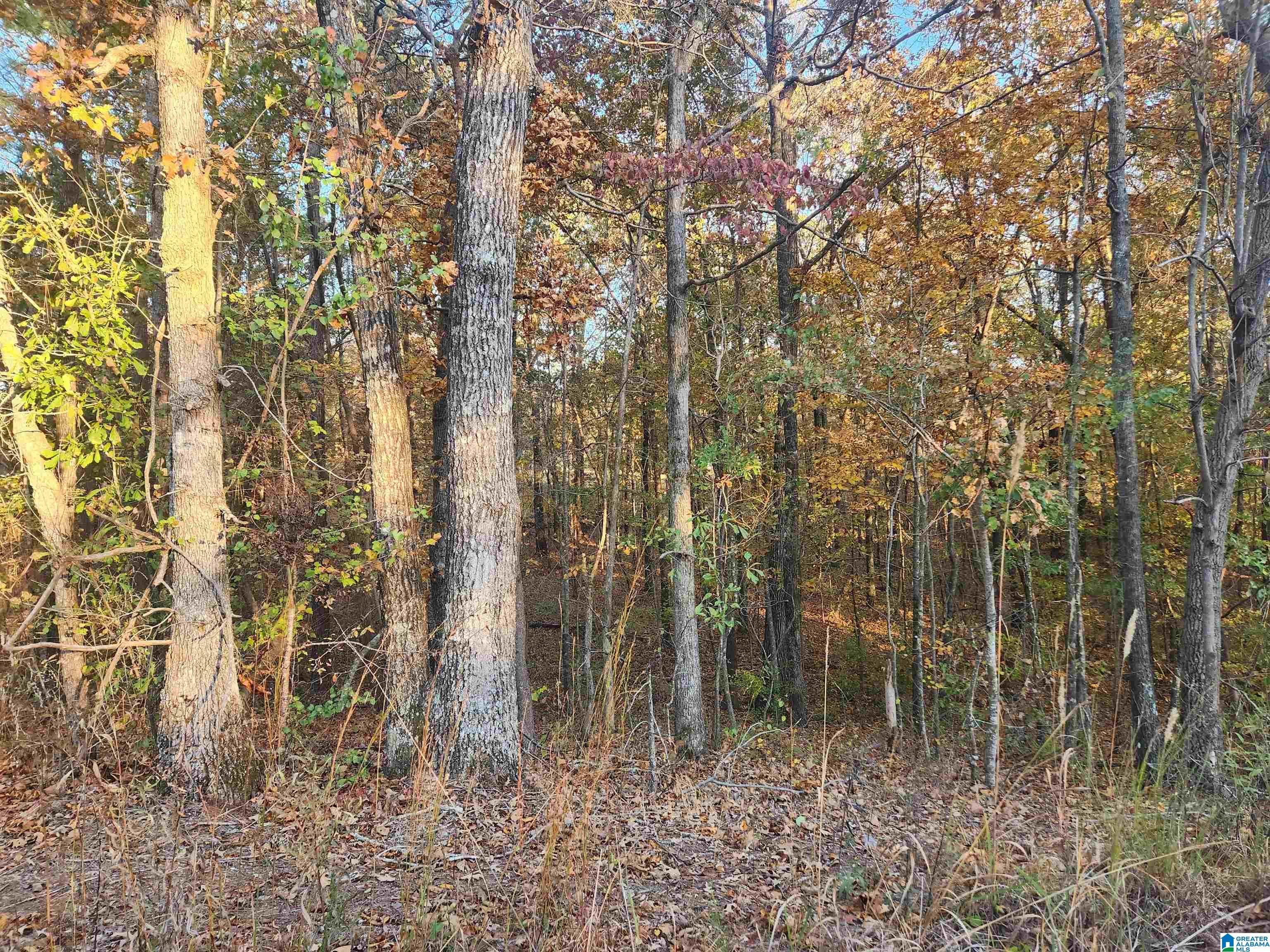 911 Oak Road, Unit D/17 Sylacauga, AL 35151 - Photo 1 of 2
