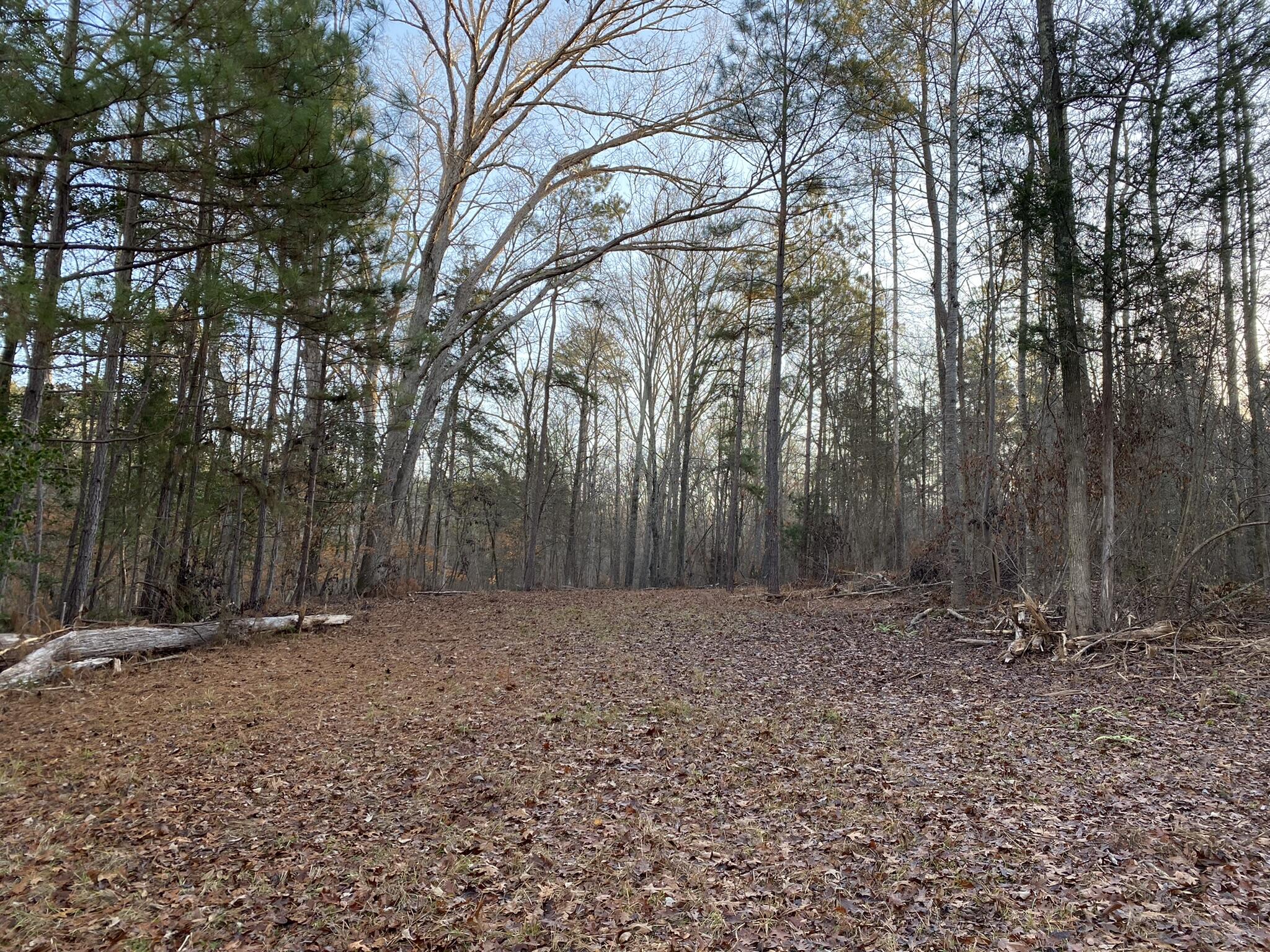 Batesburg-leesville Sc 29006 Road Leesville, SC 29070 - Photo 21 of 22