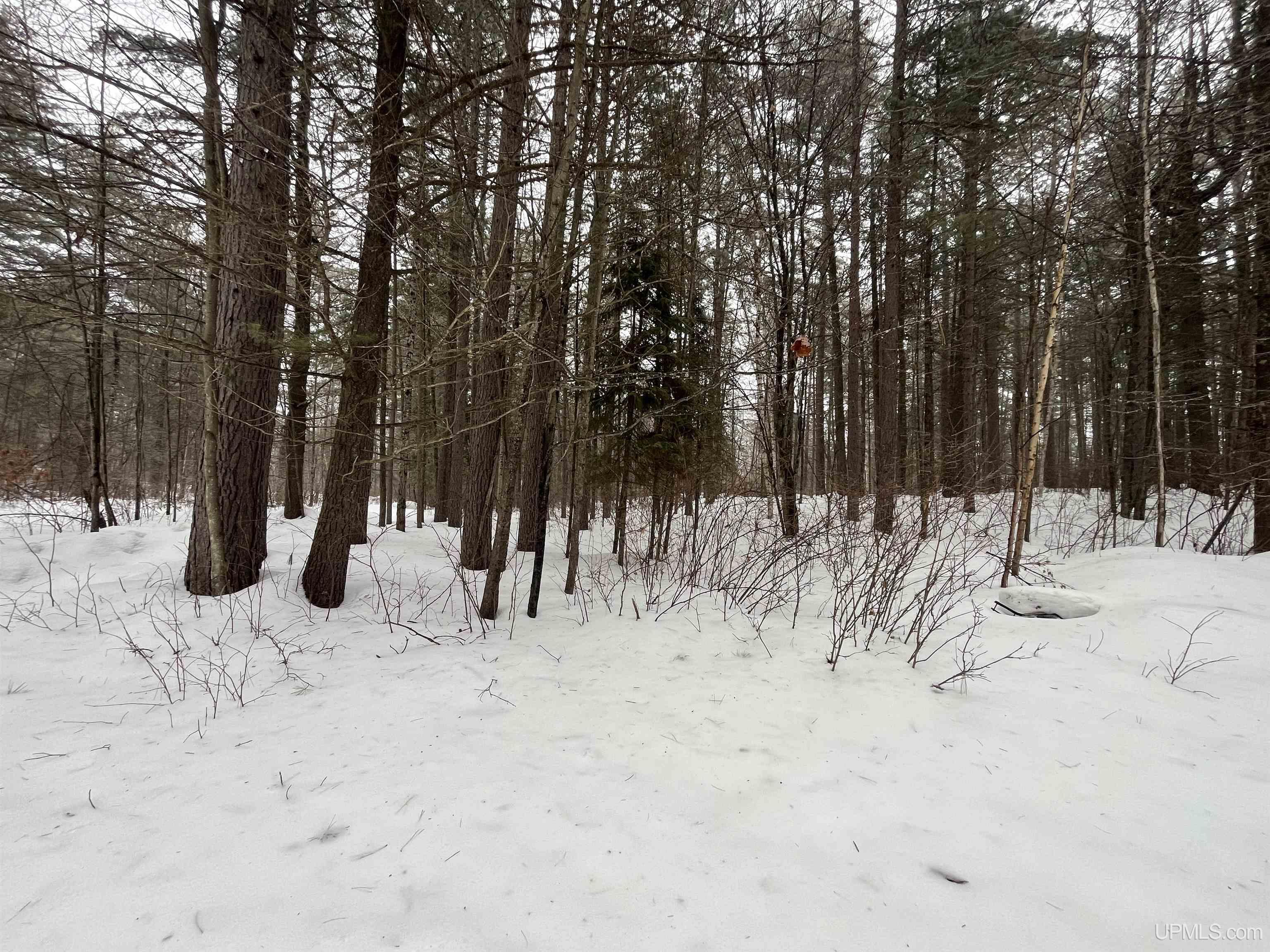 5365 Floodwood Road Republic, MI 49879 - Photo 40 of 53