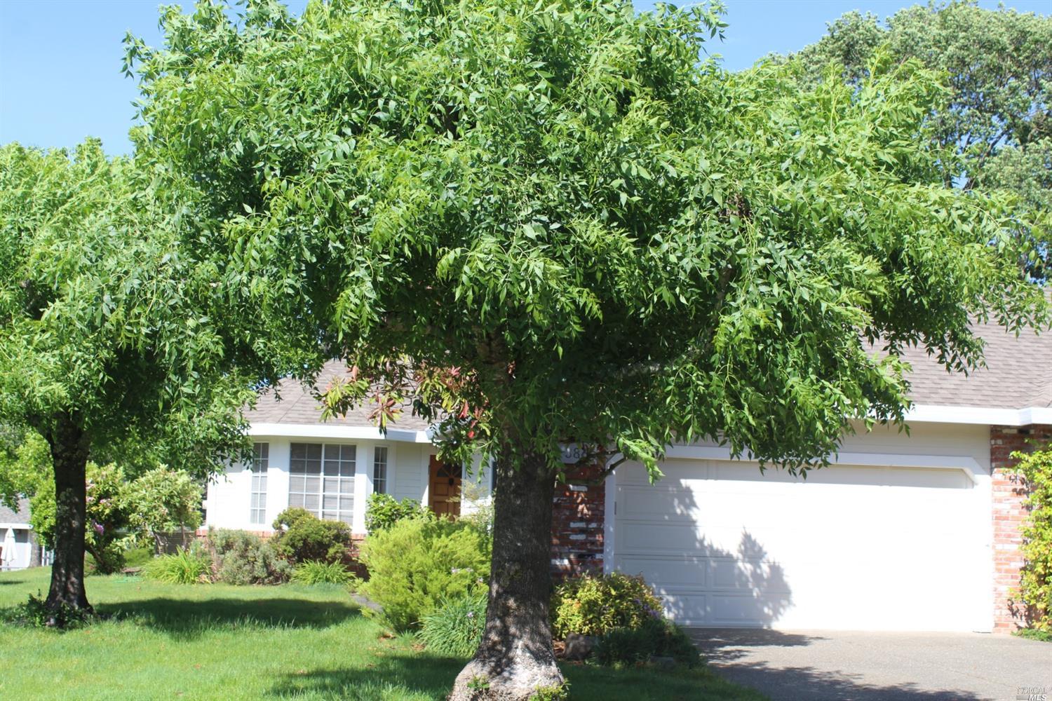 386 Riven Rock Court Santa Rosa, CA 95409 - Photo 1 of 1 Gallery Image 1