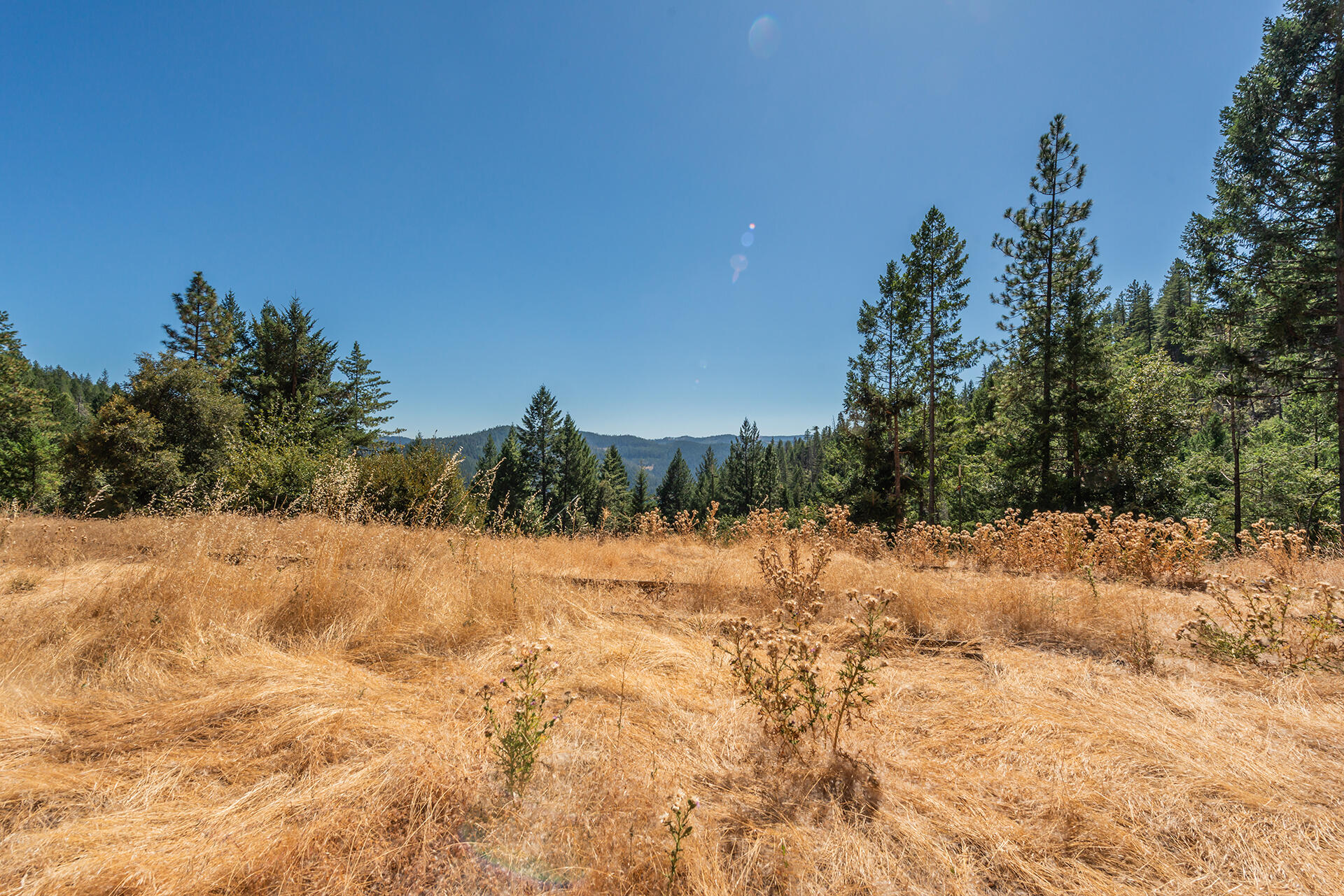 1511 Upper Moore Gulch Road Trinity Center, CA 96091 - Photo 47 of 62 DSC_6720