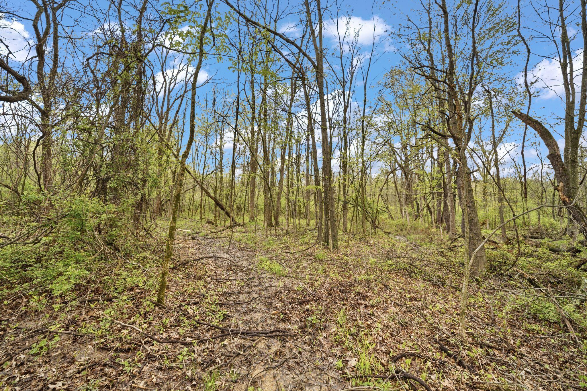 0 Lantz Road Mansfield, OH 44906 - Photo 4 of 28 AF1A3434