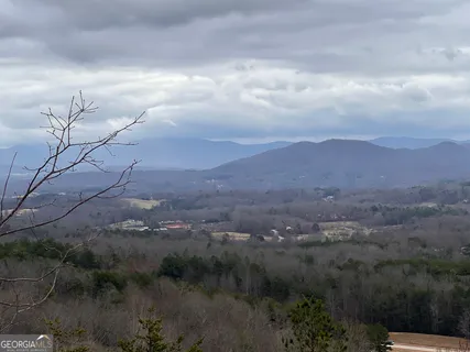 a view of a backyard of the house