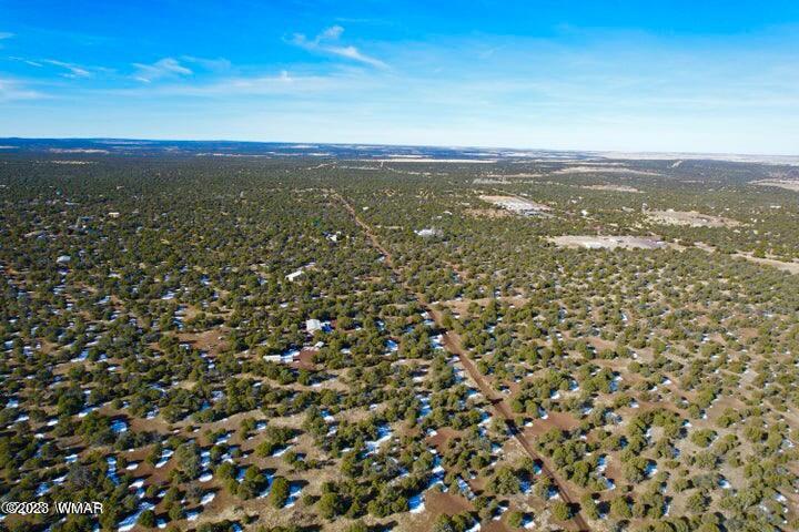 0 Lakeland Road Show Low, AZ 85901 - Photo 11 of 18