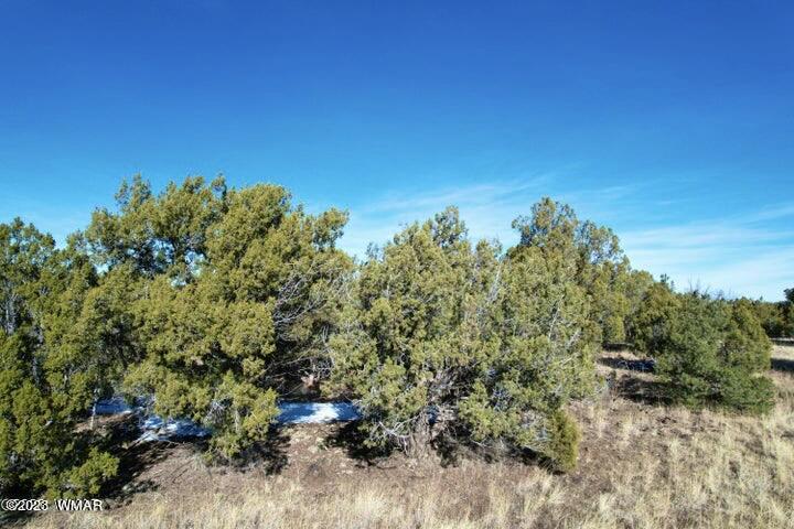 0 Lakeland Road Show Low, AZ 85901 - Photo 13 of 18