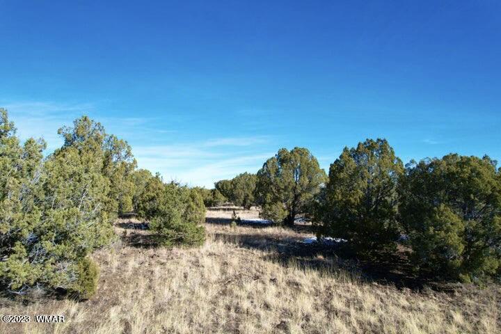 0 Lakeland Road Show Low, AZ 85901 - Photo 14 of 18