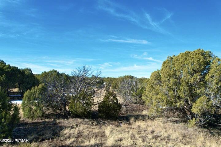 0 Lakeland Road Show Low, AZ 85901 - Photo 15 of 18