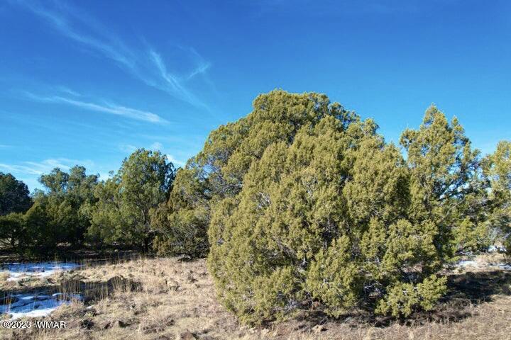 0 Lakeland Road Show Low, AZ 85901 - Photo 17 of 18