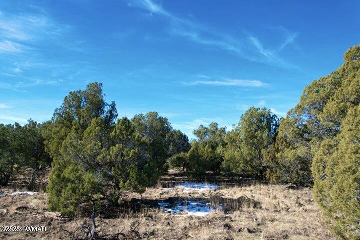 0 Lakeland Road Show Low, AZ 85901 - Photo 18 of 18