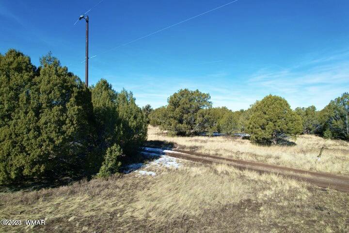 0 Lakeland Road Show Low, AZ 85901 - Photo 3 of 18
