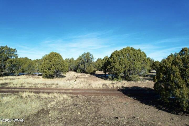 0 Lakeland Road Show Low, AZ 85901 - Photo 4 of 18