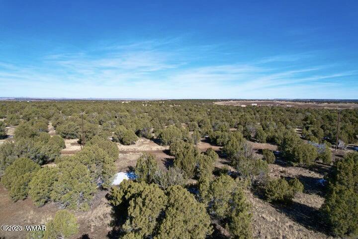 0 Lakeland Road Show Low, AZ 85901 - Photo 5 of 18