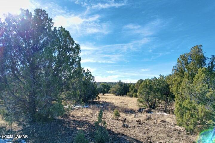 0 Lakeland Road Show Low, AZ 85901 - Photo 6 of 18