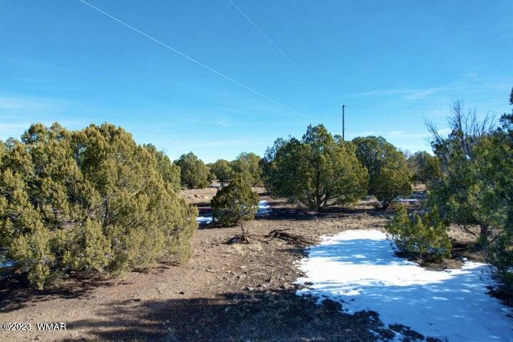 0 Lakeland Road Show Low, AZ 85901 - Photo 7 of 18