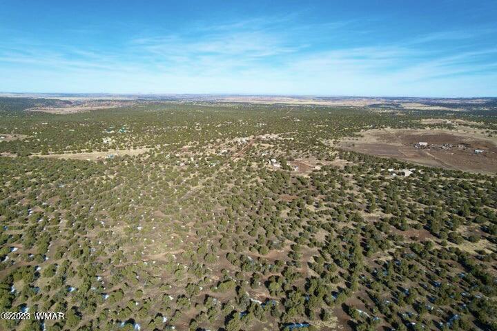 0 Lakeland Road Show Low, AZ 85901 - Photo 8 of 18