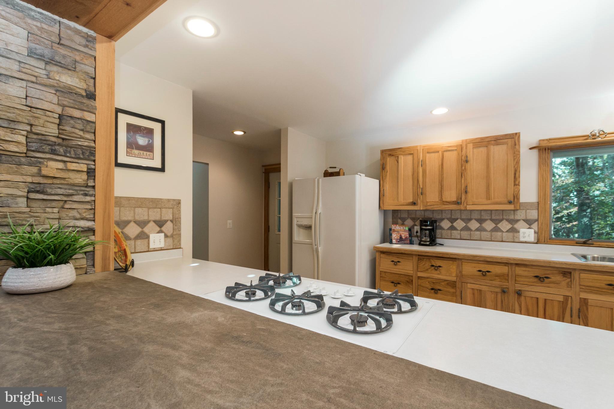 5737 Balls Mill Road Midland, VA 22728 - Photo 19 of 71 Kitchen Opens to Exterior Door to Back Porch