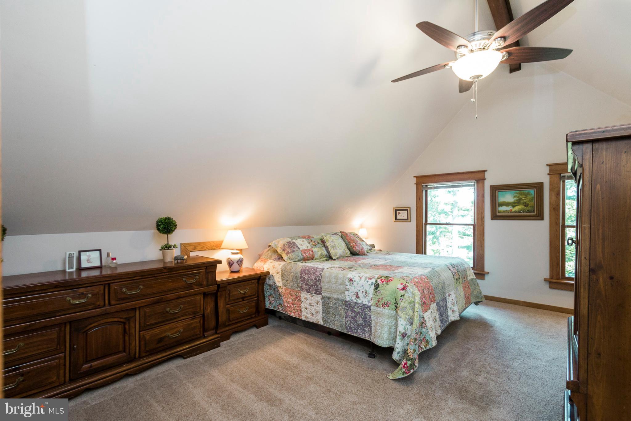 5737 Balls Mill Road Midland, VA 22728 - Photo 34 of 71 Owner's Suite with Soaring Ceiling