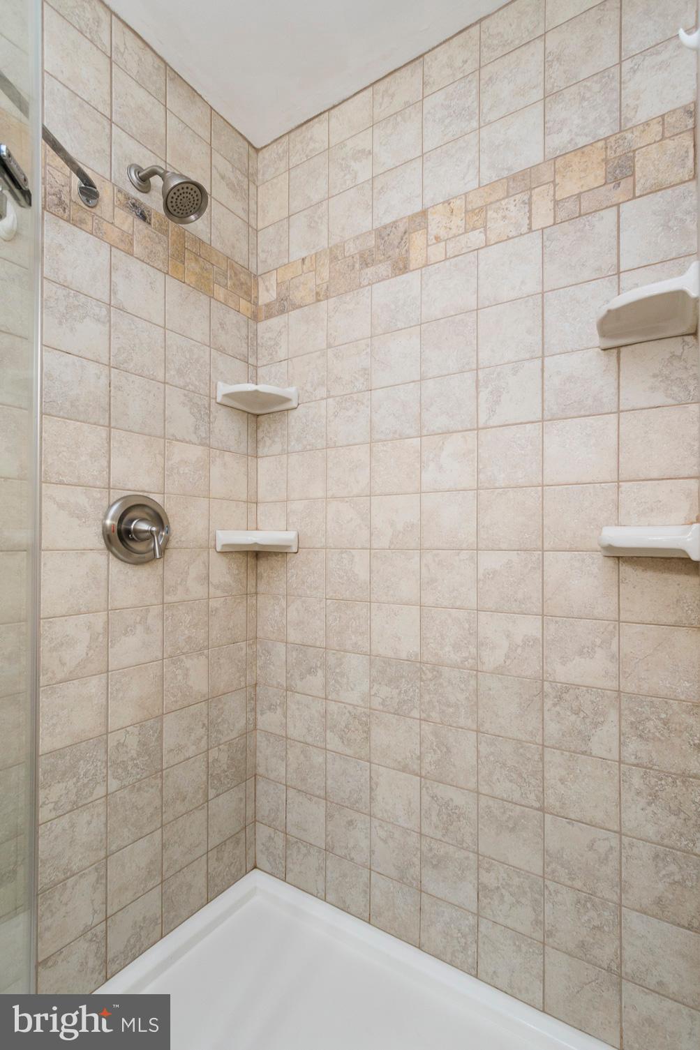 5737 Balls Mill Road Midland, VA 22728 - Photo 40 of 71 Owner's Bath Shower with Custom Tile Surround