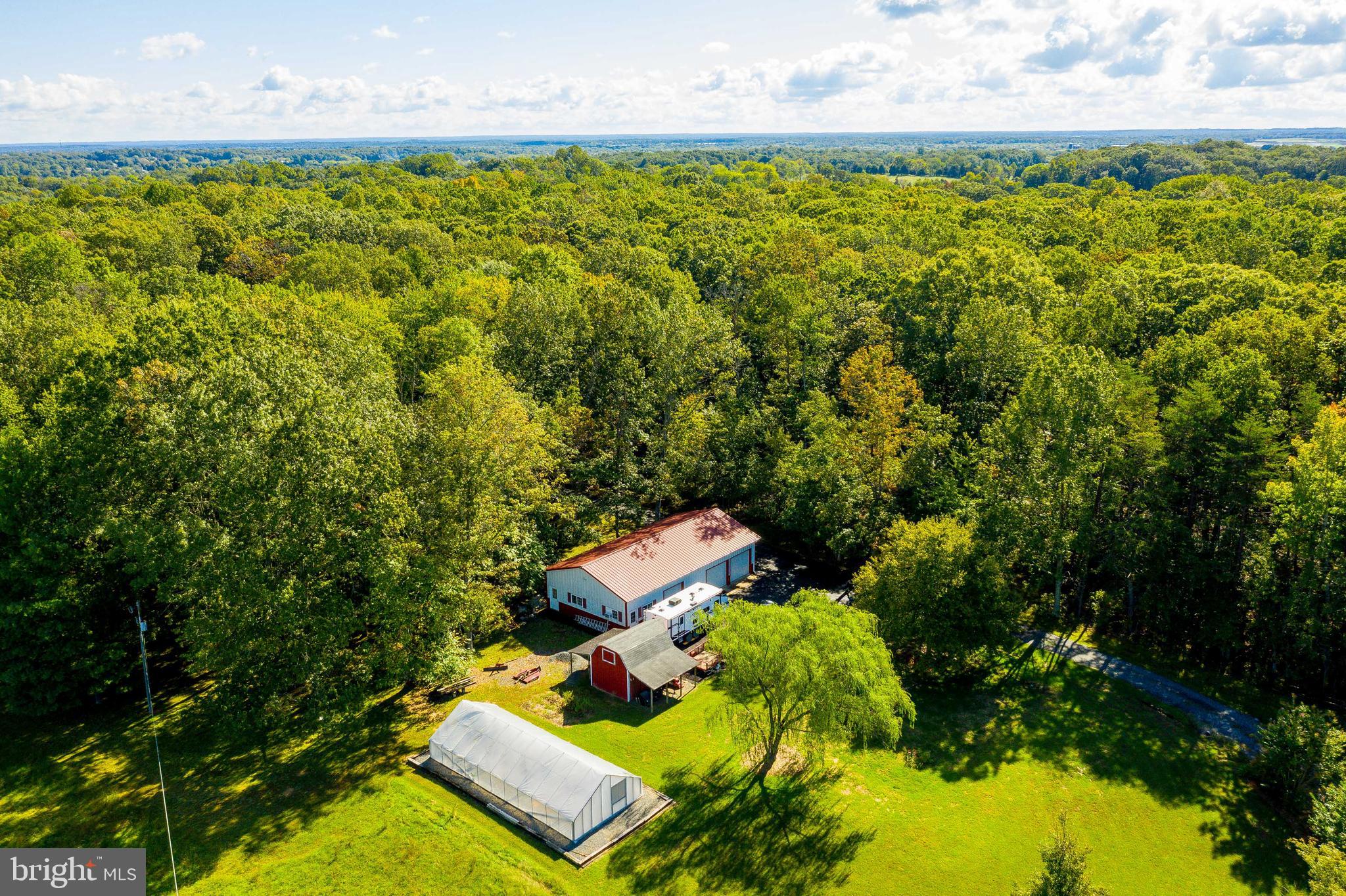 5737 Balls Mill Road Midland, VA 22728 - Photo 5 of 71 Remaining Acreage Consists of Mature Hardwoods