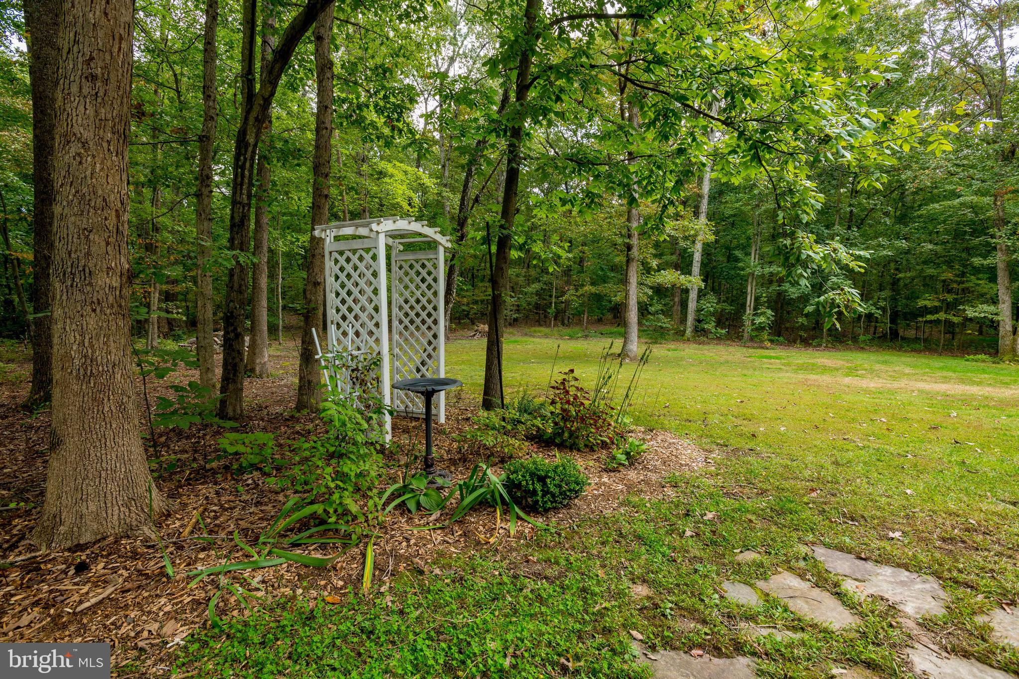 5737 Balls Mill Road Midland, VA 22728 - Photo 63 of 71 View of Side Yard from Wraparound Porch