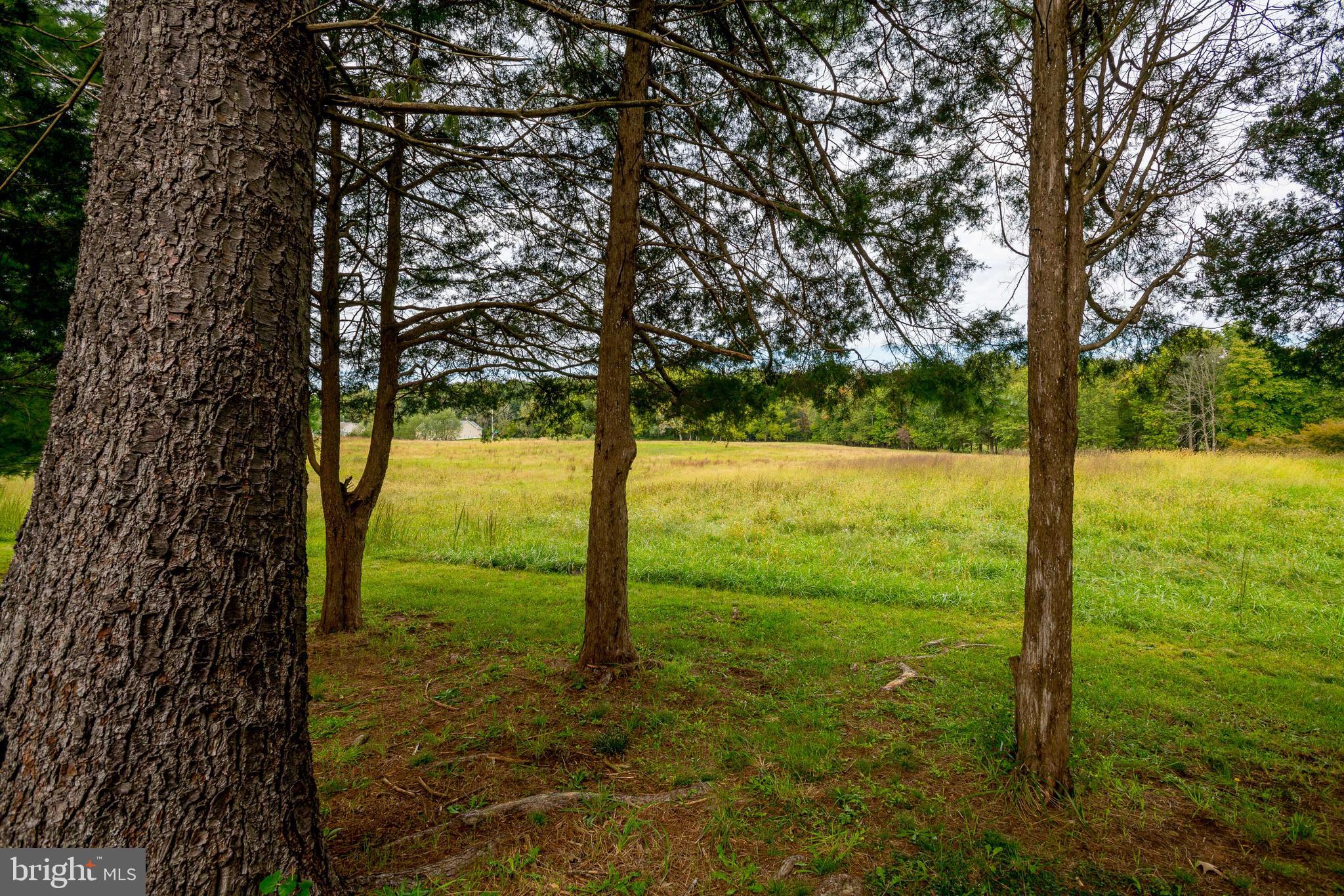 5737 Balls Mill Road Midland, VA 22728 - Photo 70 of 71 View of Front Field with Spring from Back of Home