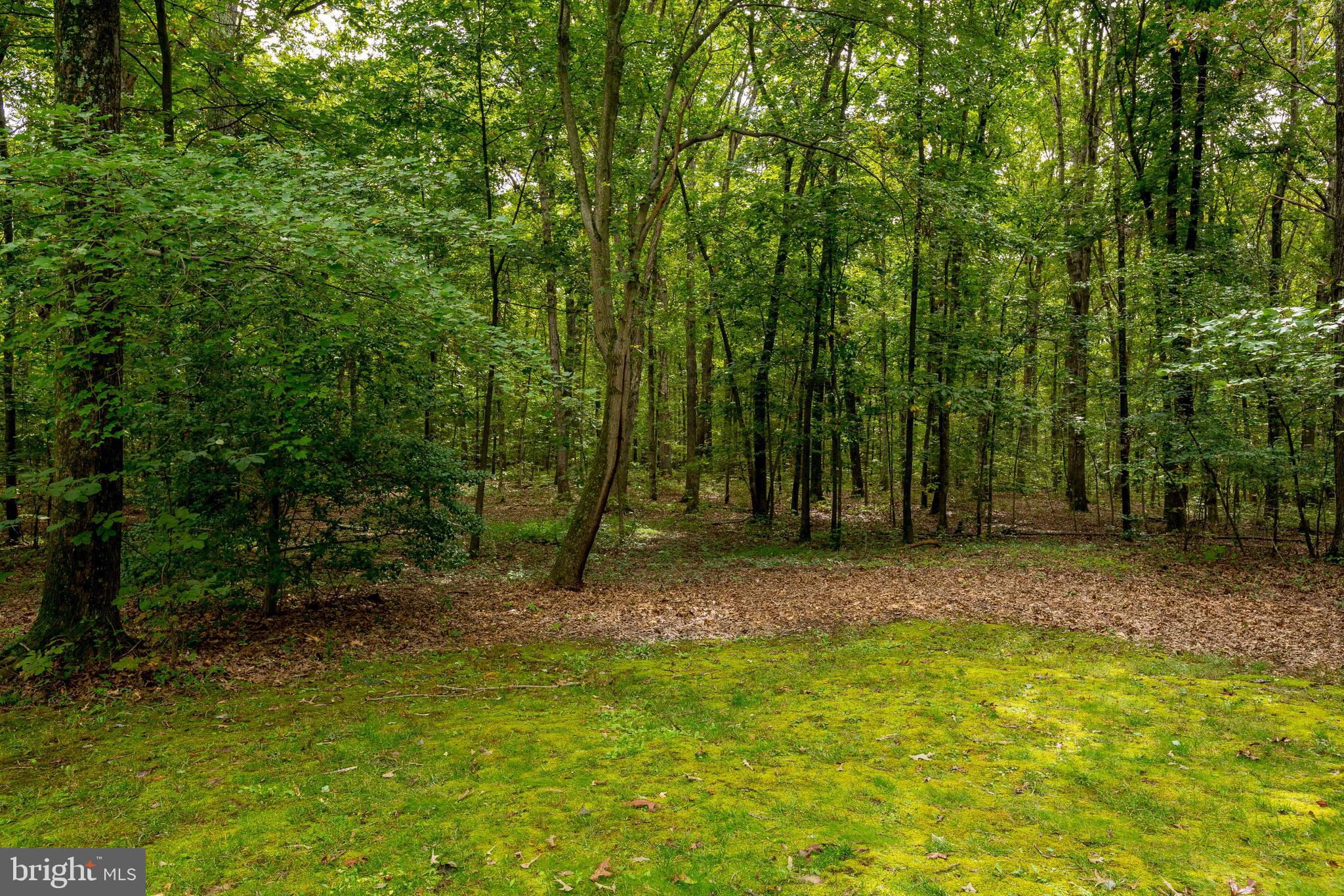 5737 Balls Mill Road Midland, VA 22728 - Photo 71 of 71 Private Retreat where Nature Abounds