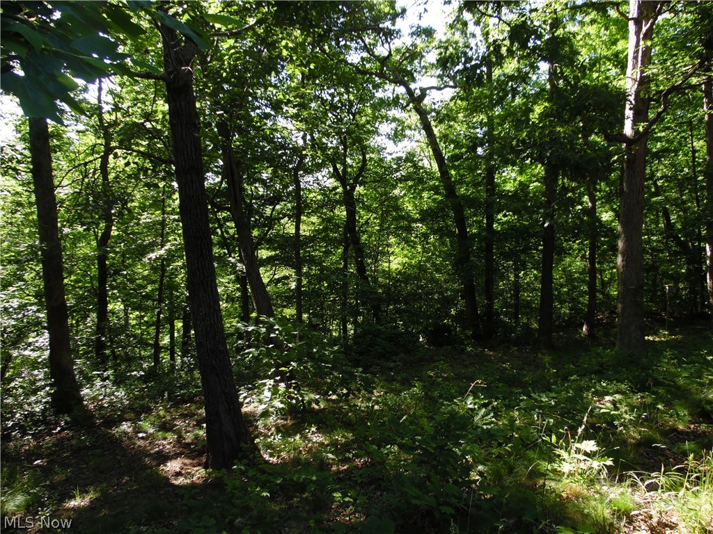 280 Linton Hill Road Cutler, OH 45724 - Photo 7 of 36
