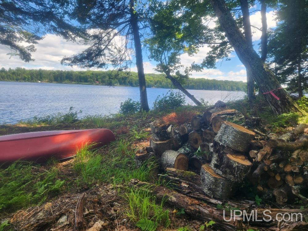 Tbd West Tamarack Lake Road, Unit LOT 5 Watersmeet, MI 49969 - Photo 46 of 66