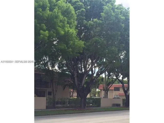 a view of a tree in front of a door