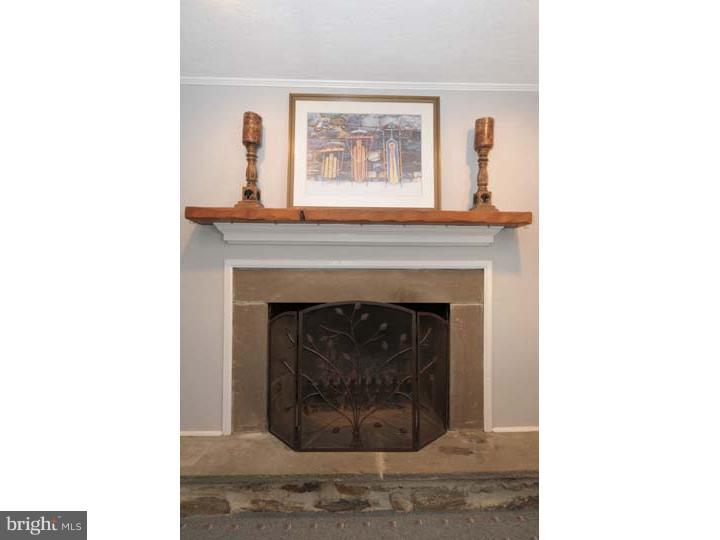1023 Waterloo Road Berwyn, PA 19312 - Photo 14 of 24 Fireplace