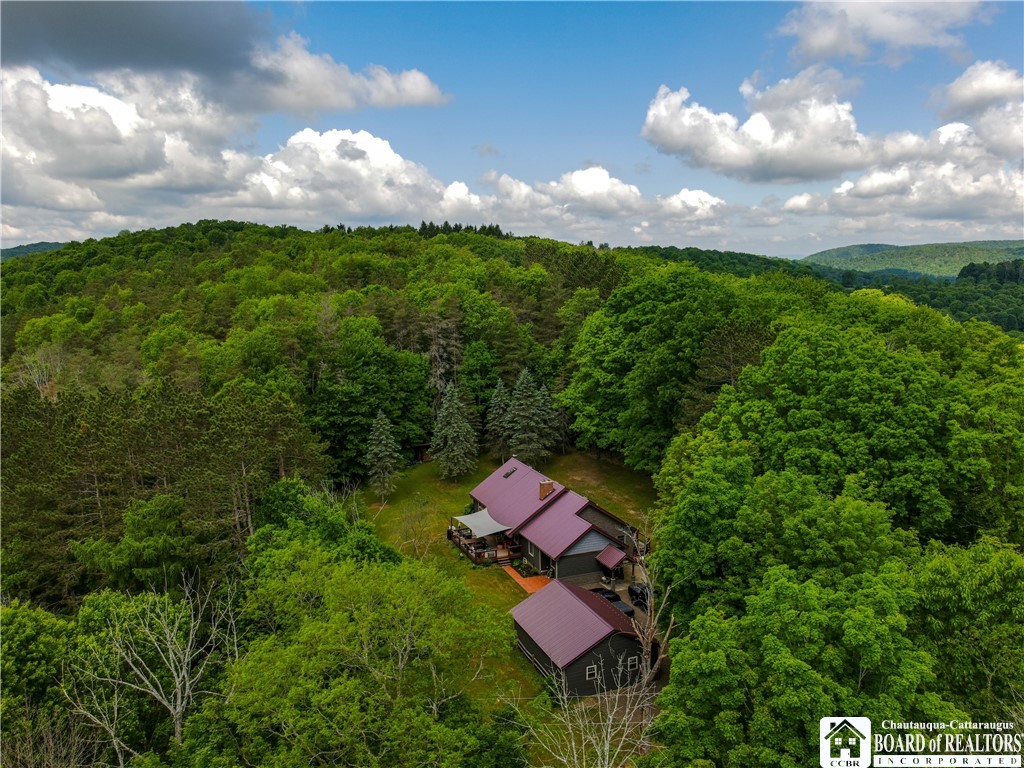 897 Butternut Brook Genesee, NY 14770 - Photo 45 of 50