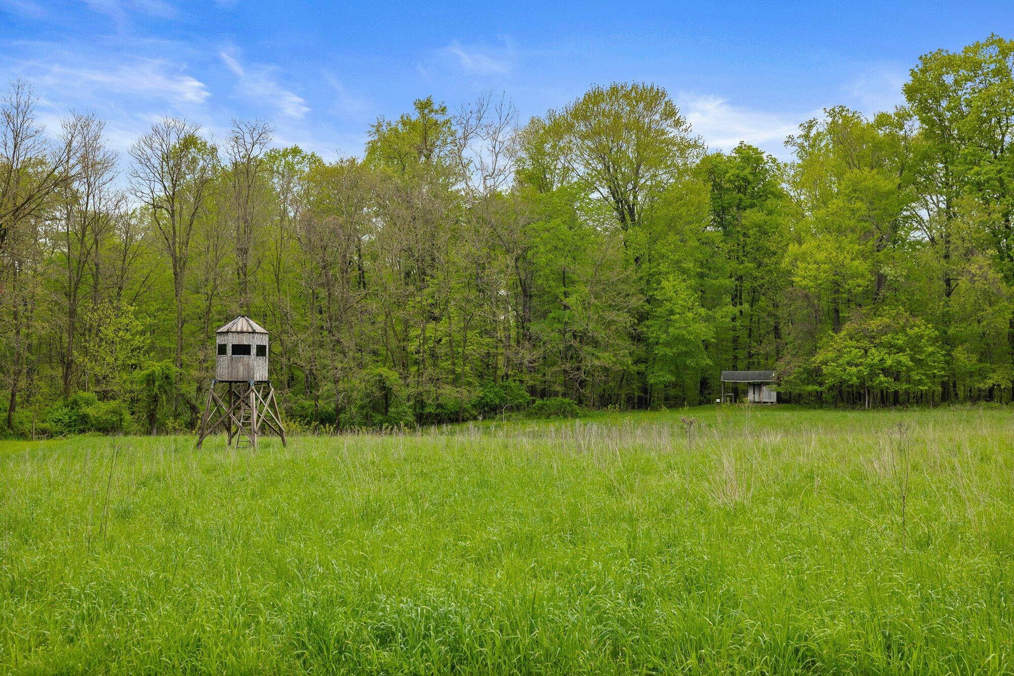 1366 Orweiler Road Mansfield, OH 44903 - Photo 64 of 66 64-ext-deer-stand