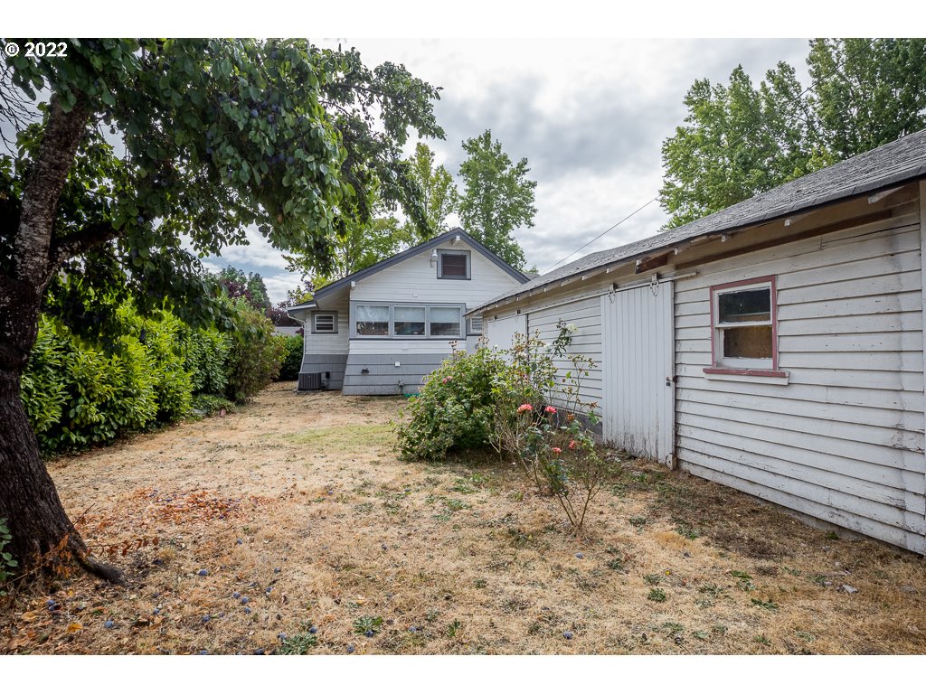 904 E Street Springfield, OR 97477 - Photo 30 of 31 a backyard of a house with plants and trees