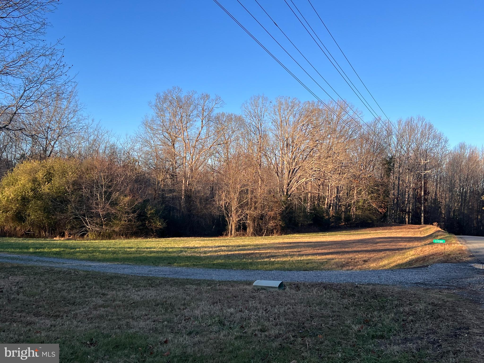 21320 Bagby Road Bowling Green, VA 22427 - Photo 2 of 2 a view of a tennis ground with trees in the background