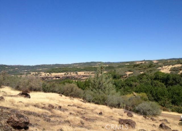 0 Batt Road Chico, CA 95928 - Photo 5 of 9 Gallery Image 5