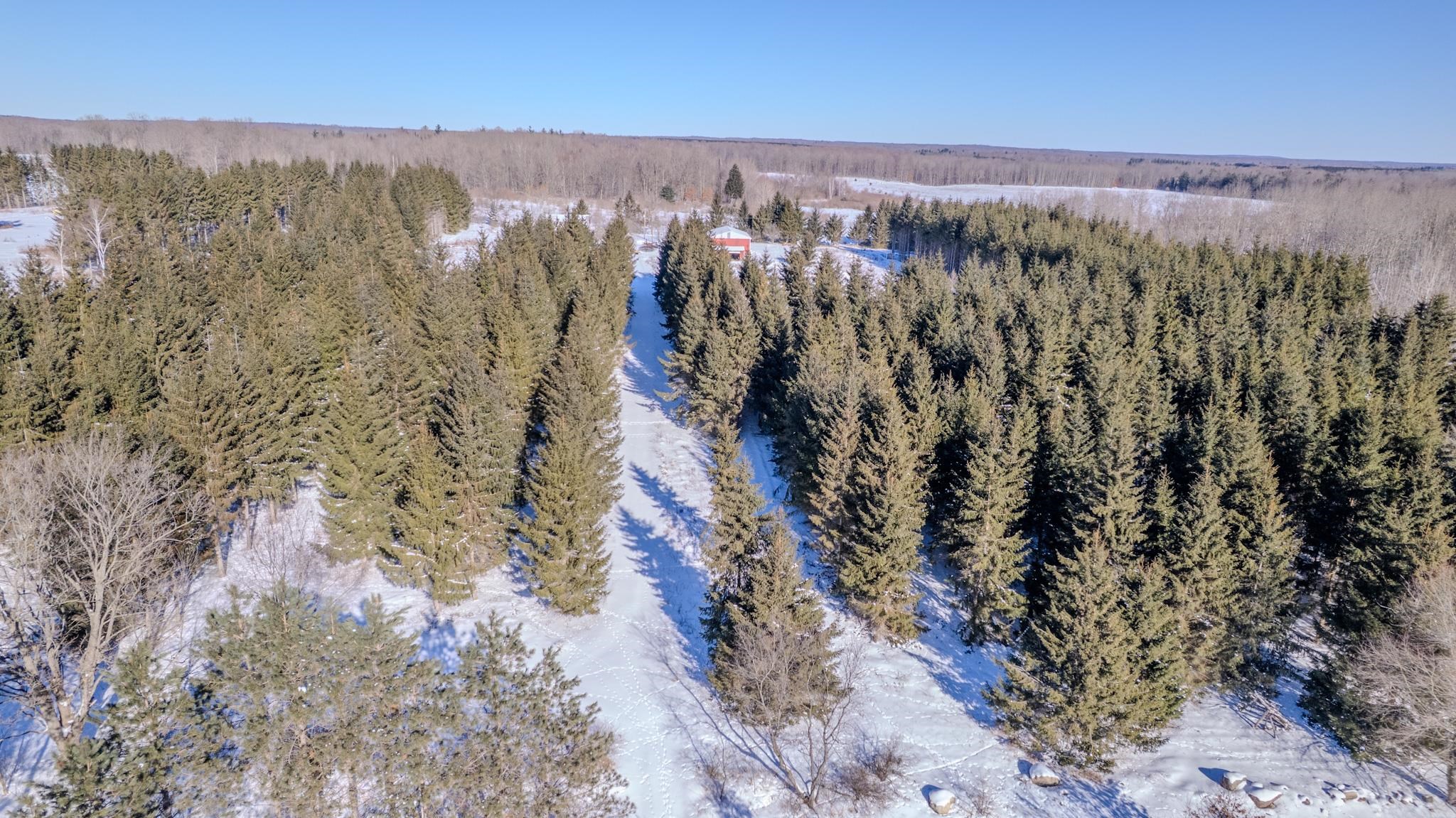 8178 East Stockwell Road Harrison, MI 48625 - Photo 89 of 89