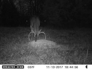 10.357-ac Cooper Road West Union, OH 45693 - Photo 13 of 20