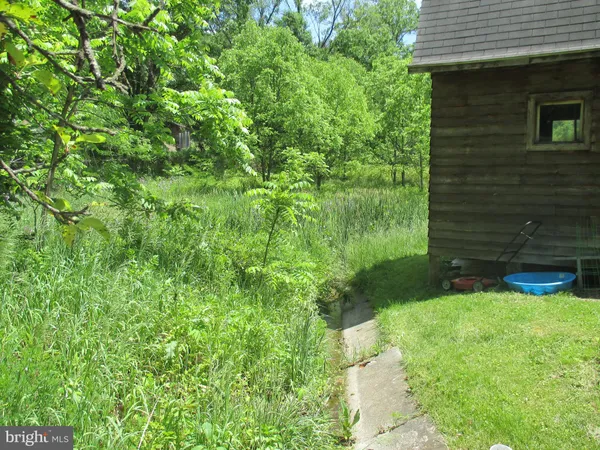 a view of a yard in front of the house
