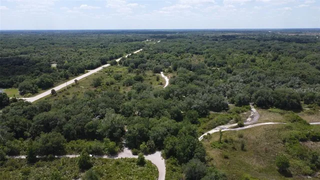 an aerial view of a houses with outdoor space and trees