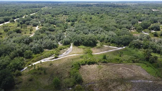 an aerial view of a houses with a lush green hillside