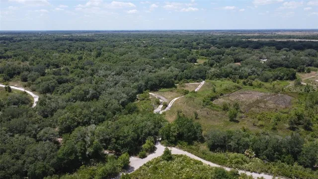 an aerial view of a houses with a lush green hillside