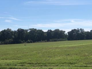 30-ac Griffith Mill Road Holt, FL 32564 - Photo 11 of 23 a view of a field with an ocean